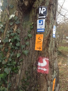 image4 (Erlebniswege Sieg – Dreitälerweg)