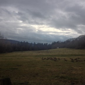 image_1 (Erlebniswege Sieg – Försterweg)