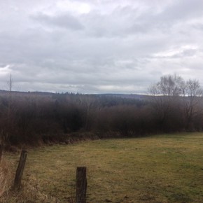 image_3 (Erlebniswege Sieg – Försterweg)