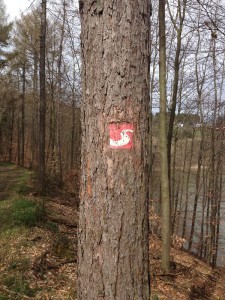 talsperre_001 (Erlebnisweg Sieg – Der Talsperrenweg)