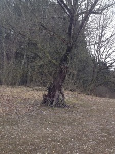 talsperre_005 (Erlebnisweg Sieg – Der Talsperrenweg)