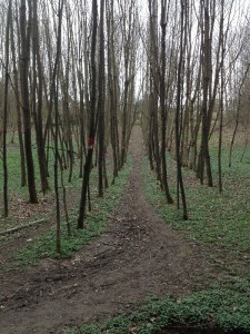 talsperre_018 (Erlebnisweg Sieg – Der Talsperrenweg)