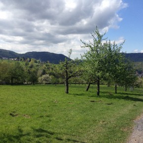 baden_002 (Merkur Baden-Baden)