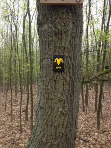 wahner_heide002 (Wahner Heide: Fliegenberg-Tour)