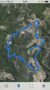 20150709_094716000_iOS (Rund um Montebuoni)