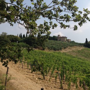 image002 (Rund um Montebuoni)