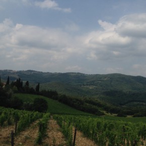 image005 (Rund um Montebuoni)