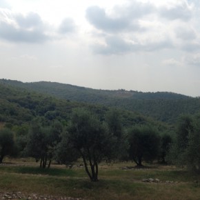 image007 (Rund um Montebuoni)